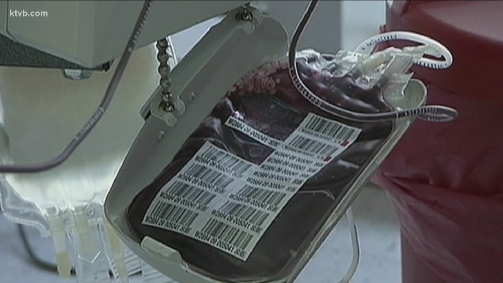 Red Cross In Need Of Blood Donations Before Blood Shortage Worsens ...