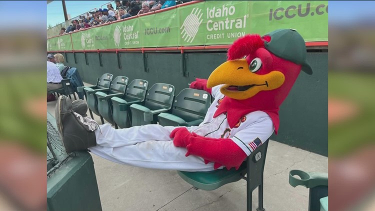 A Bird Named Mal: Boise Hawks manager disguised as Humphrey the Hawk