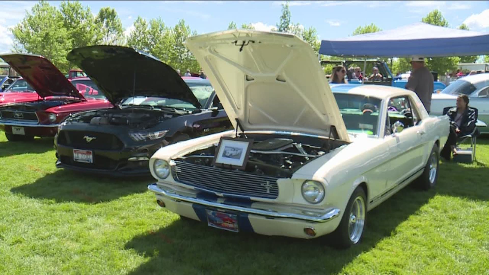 Classic Ford Mustangs