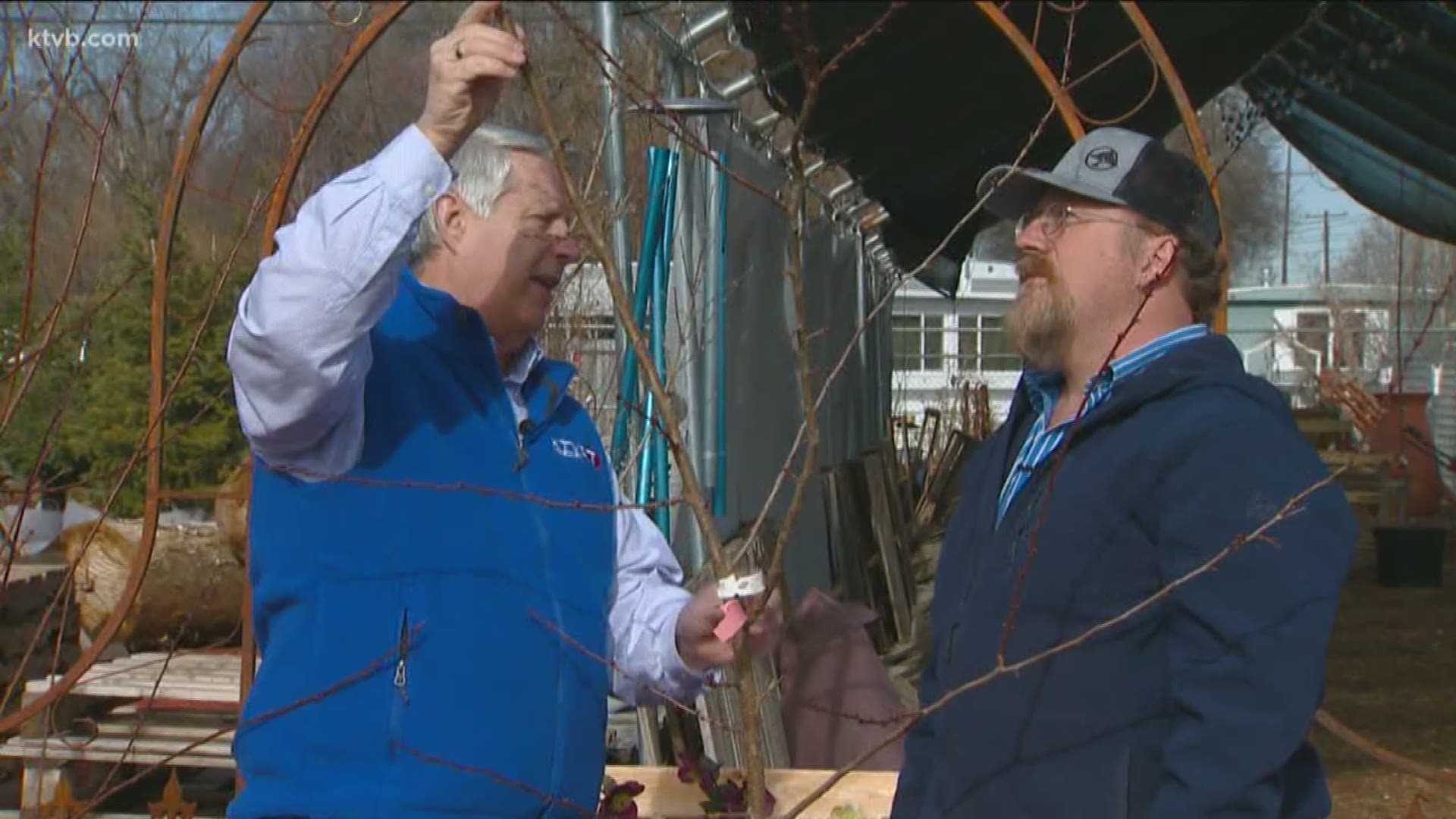 Garden master Jim Duthie talked to an expert who says now is the time to prune your trees and apply dormant oil sprays.