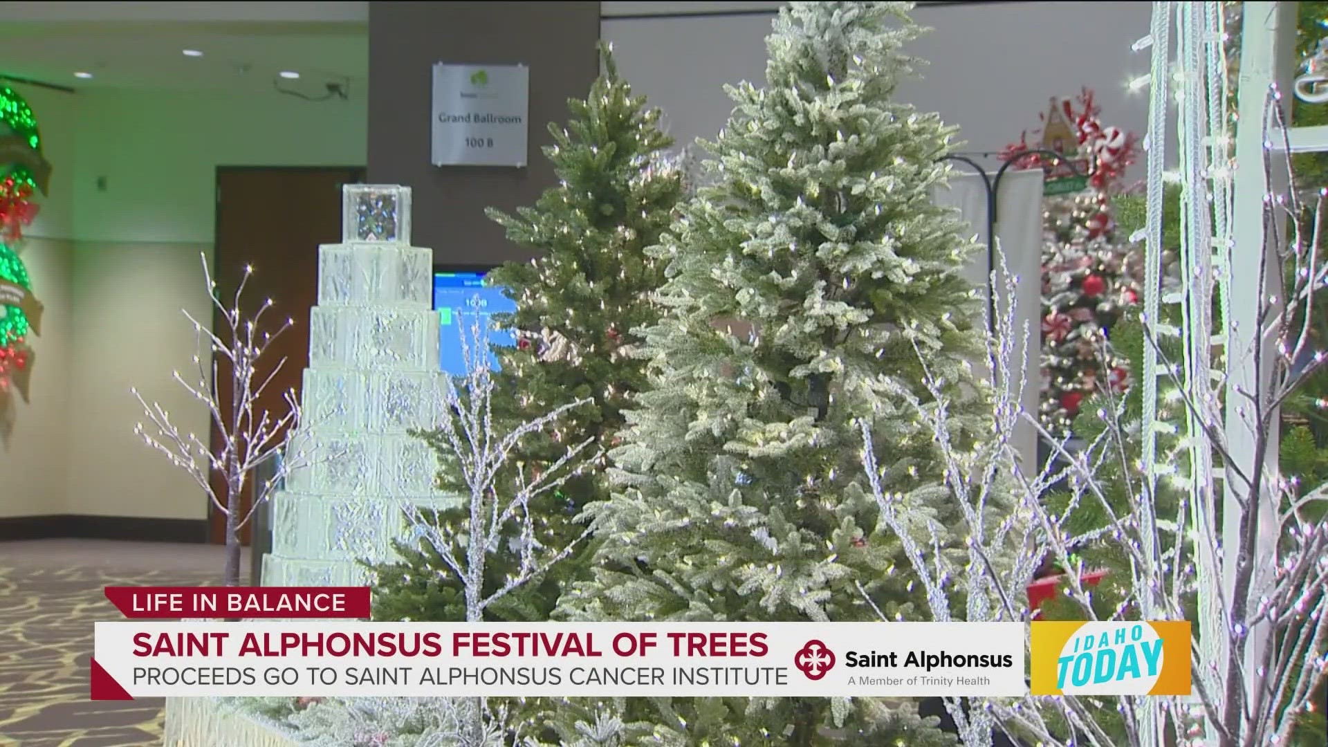 Saint Alphonsus Festival Of Trees Celebrates 39 Years