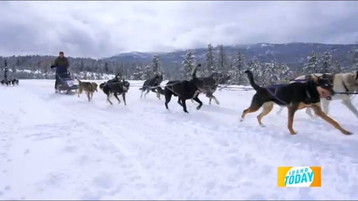 Idaho Today: 5th Annual Idaho Sled Dog Challenge