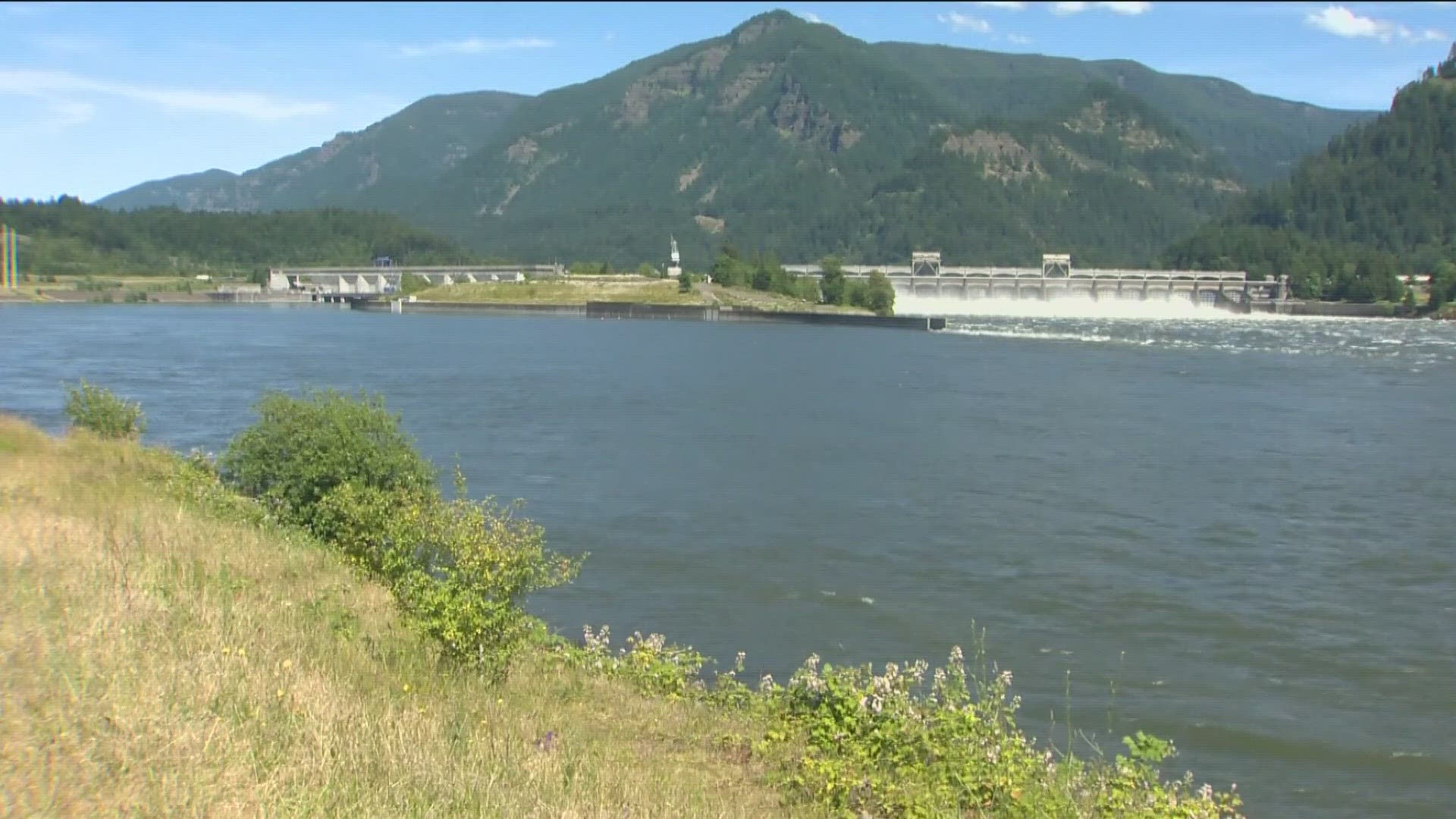 Tribes will receive a total of $208 million over the next 20 years to help reintroduce salmon to blocked habitats in the upper areas of the Columbia River.