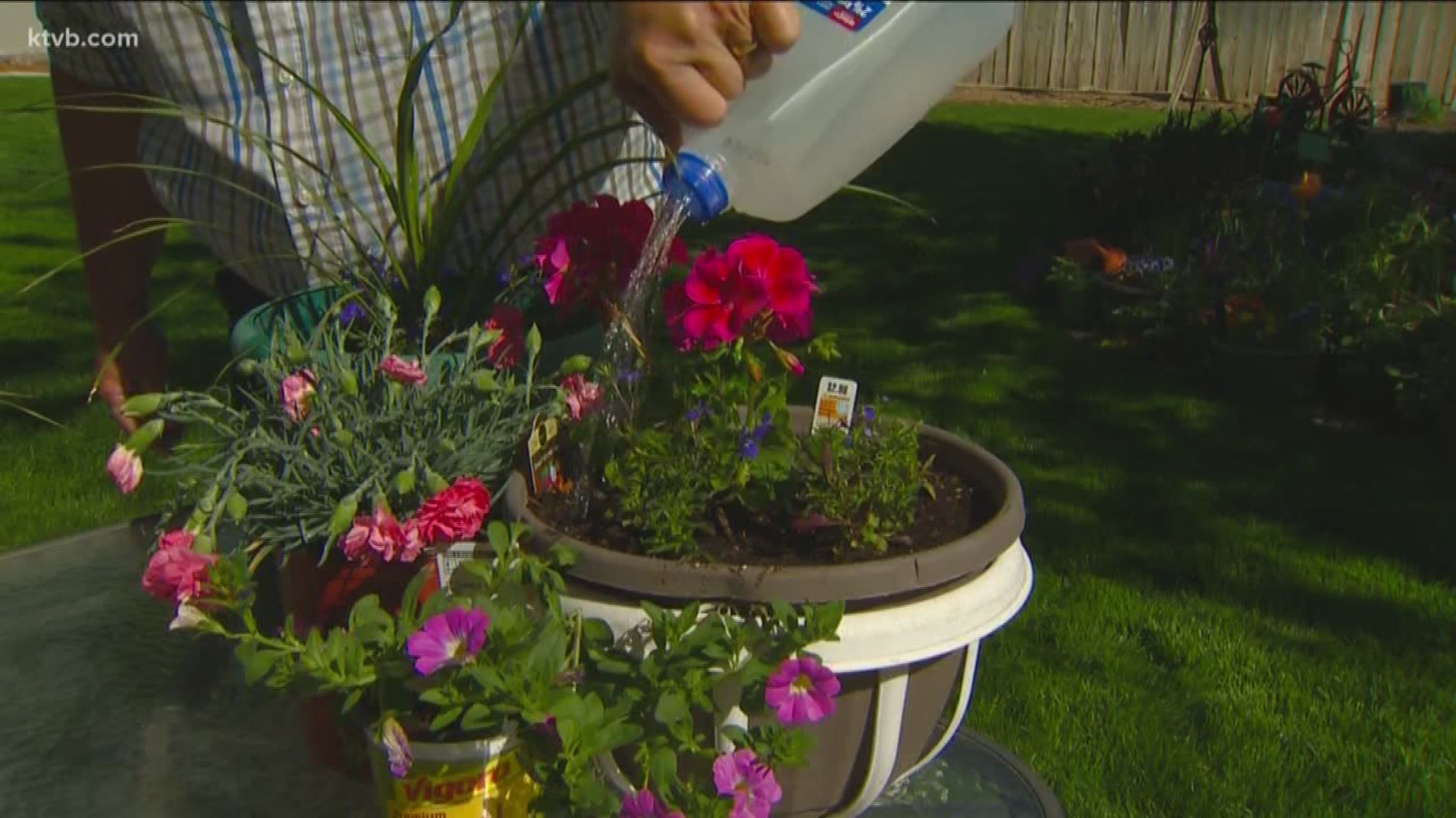 Jim Duthie shows us some garden hacks that will save you time and money.