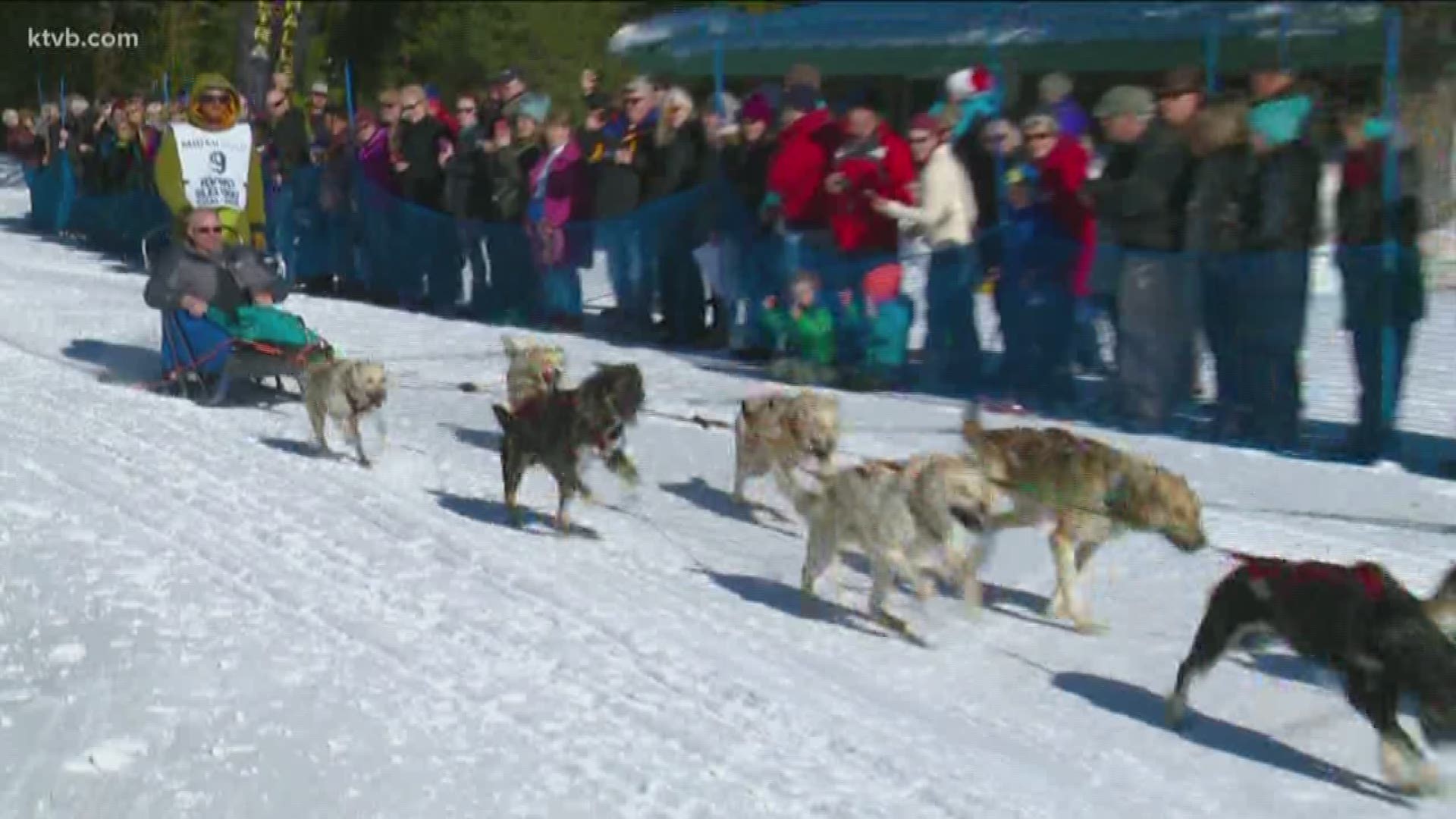 Mushers got off to a good start Wednesday in a race that goes for 300 miles.