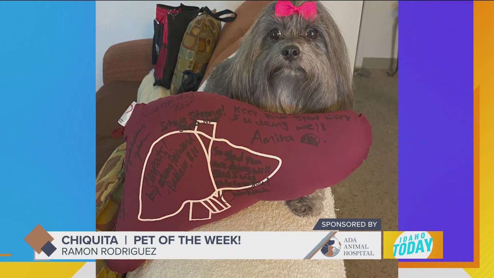 Chiquita is this week's Pet of the Week!