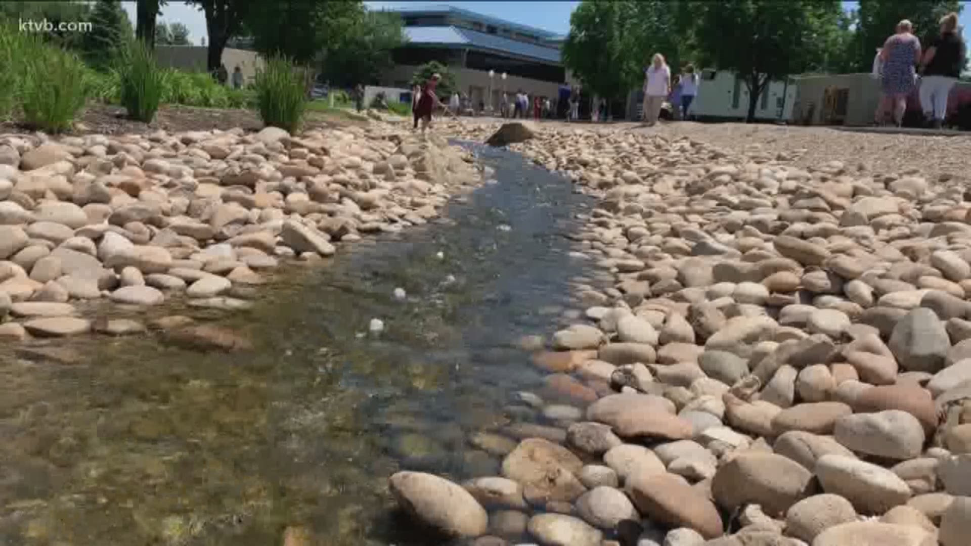 Blue Cross of Idaho employees sent a sea of rubber duckies bobbing down the creek that cuts through their campus Wednesday - all for a good cause.