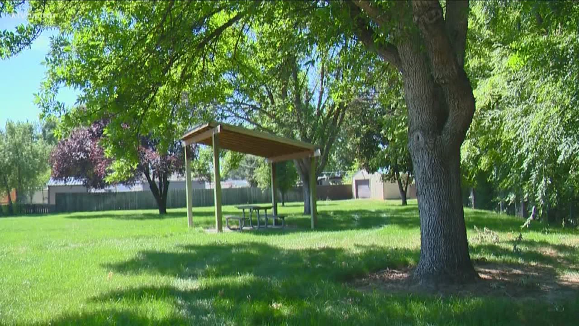 Davis Park was dedicated to the city nearly 30 years ago.