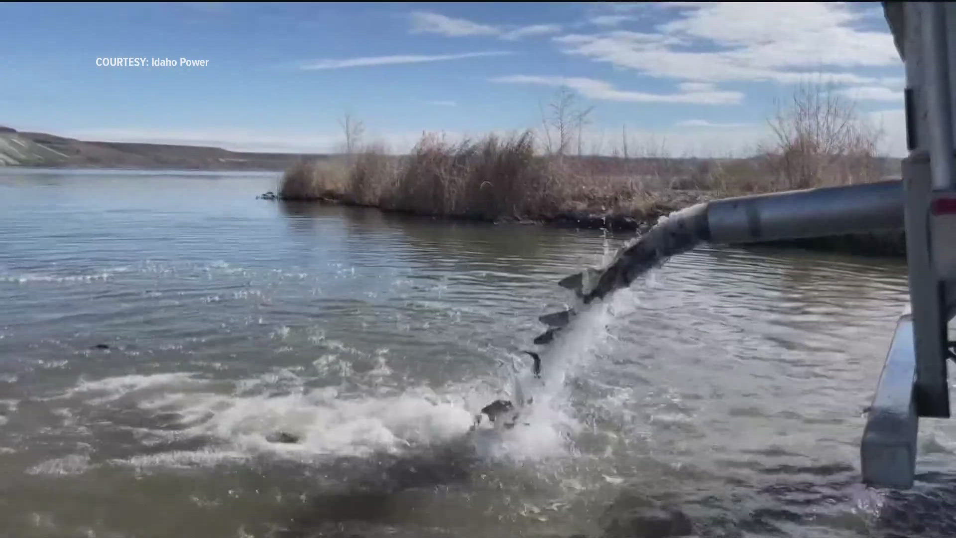 Get out your fishing poles and tackle boxes as the Idaho Department of Fish and Game will stock over 390,000 rainbow trout throughout the Gem State.