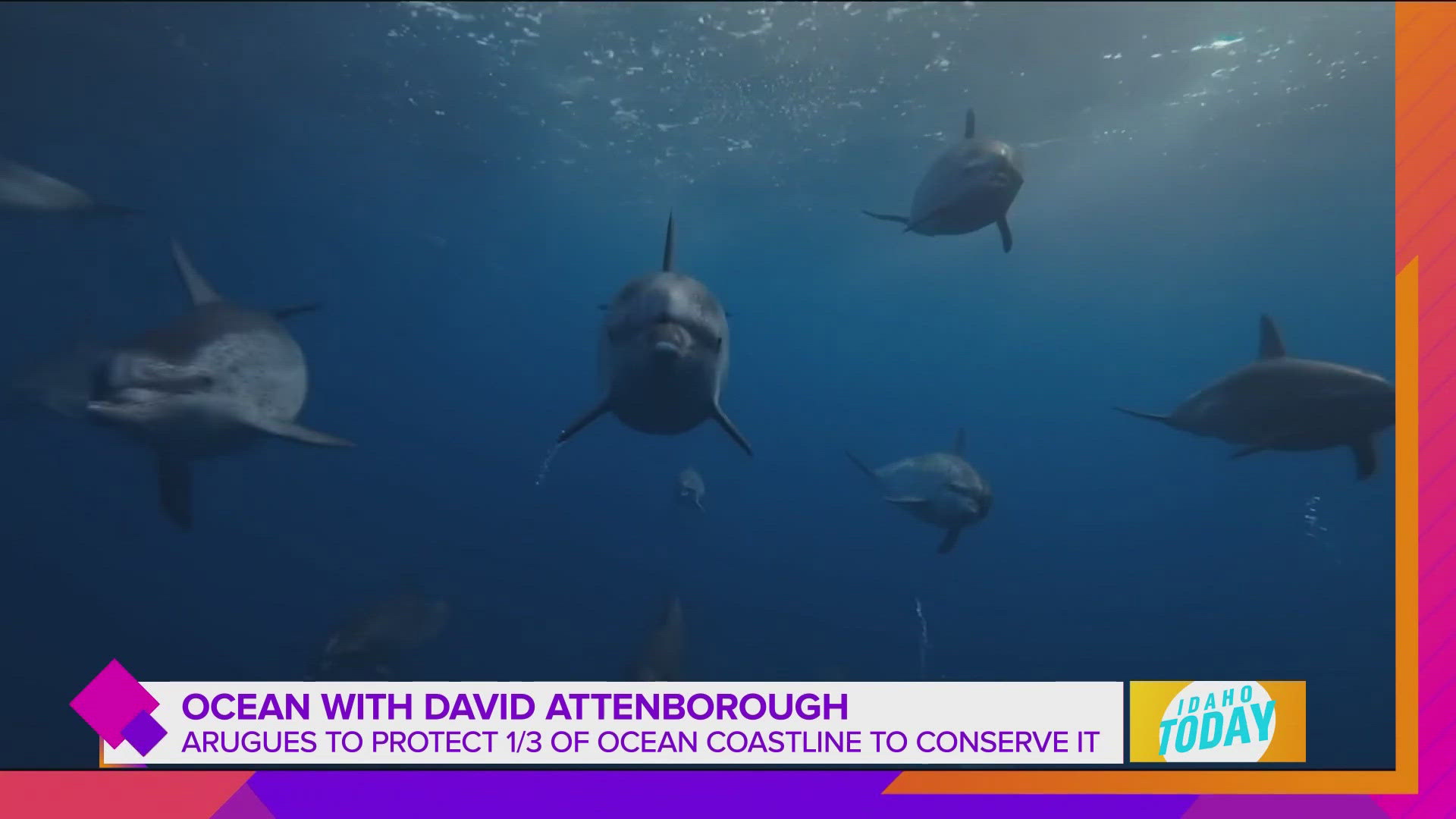 Exclusive: Nat Geo directors on "Ocean With David Attenborough" documentary