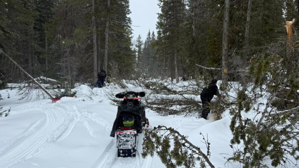 'Never seen anything like it': Hundreds of downed trees cause unsafe winter riding conditions in Boise County