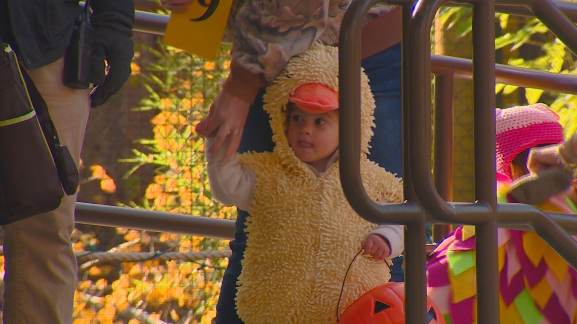 'Boo at the Zoo' brings Halloween spirit to Zoo Boise