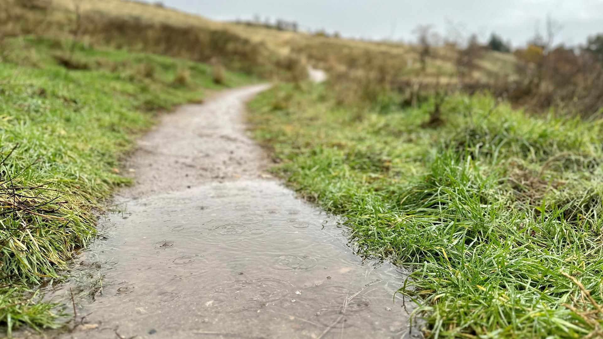 Officials said muddy trail use is the leading cause of trail damage in the Ridge to Rivers system. Rain is falling at various elevations in the Boise Foothills.