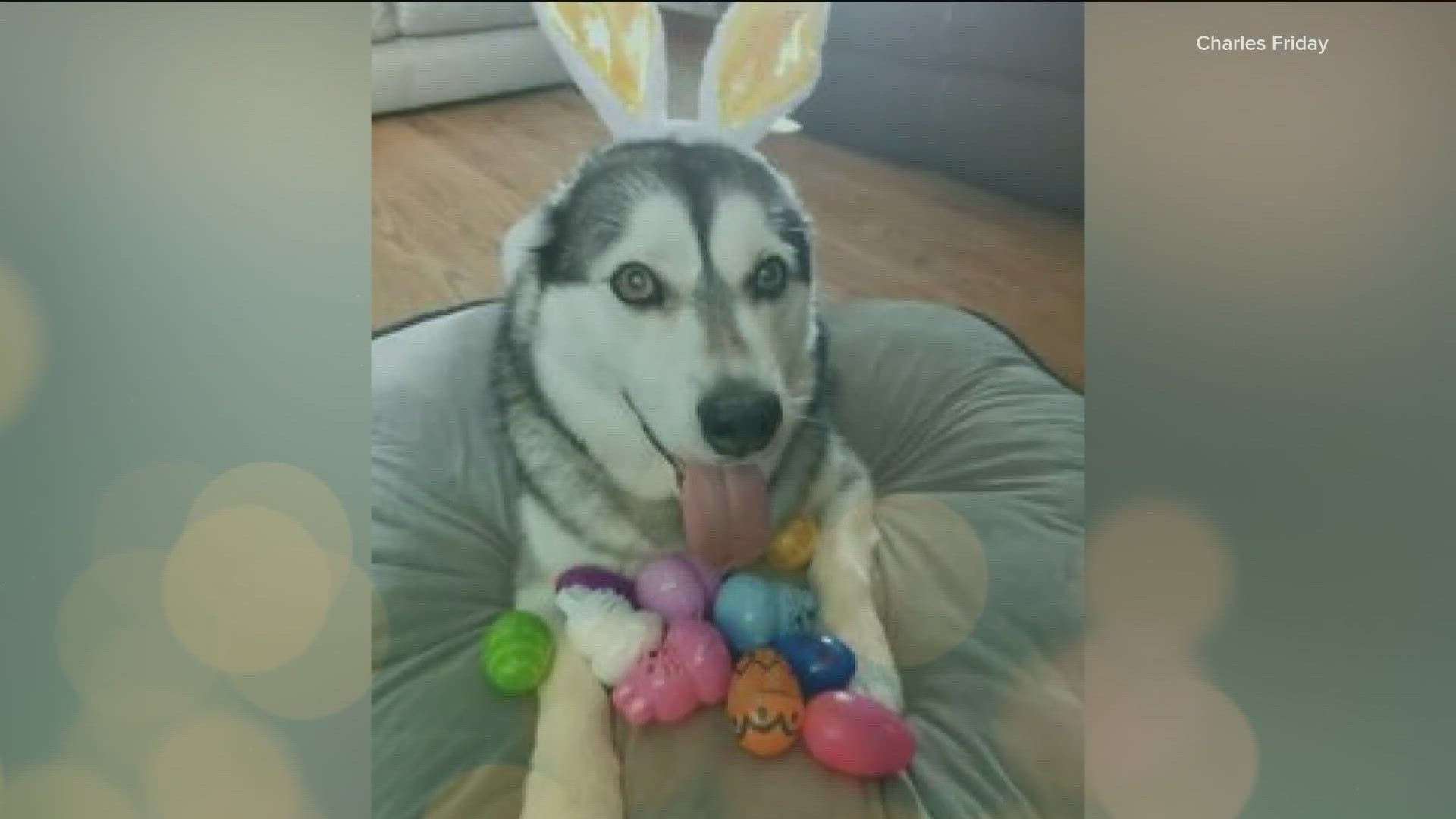 People hopped online to share their Easter photos with KTVB.