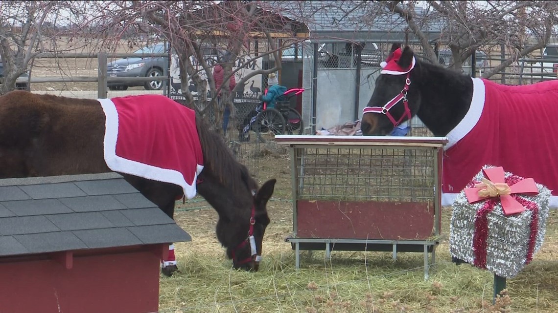 Kuna farm animal sanctuary holds holiday event