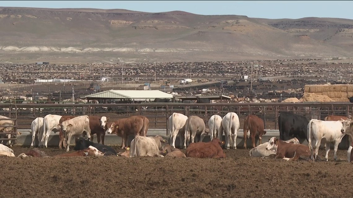 Snake River Waterkeeper alleges pollution against Simplot in a new ...