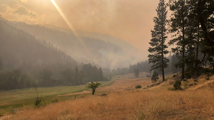 Moose Fire, Idaho's largest of 2022, grows to 120 square miles
