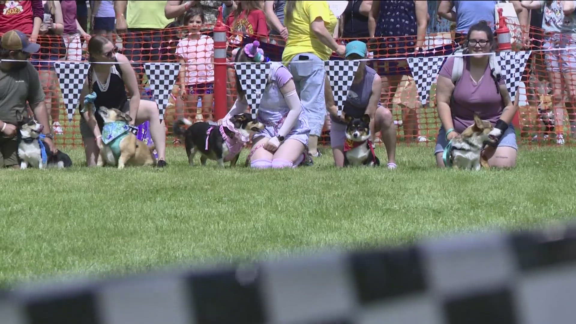 Corgi Fest event organizer Danielle Dore joined KTVB with a furry friend to speak about the popular event. 