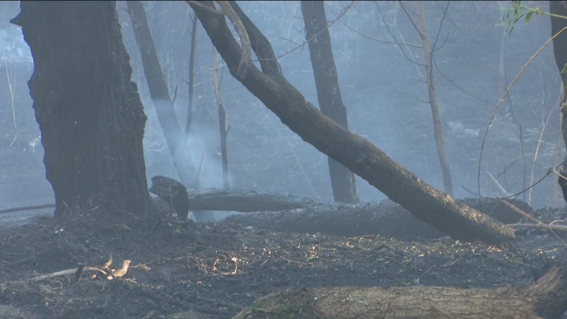 The fire is out and no structures were damaged.