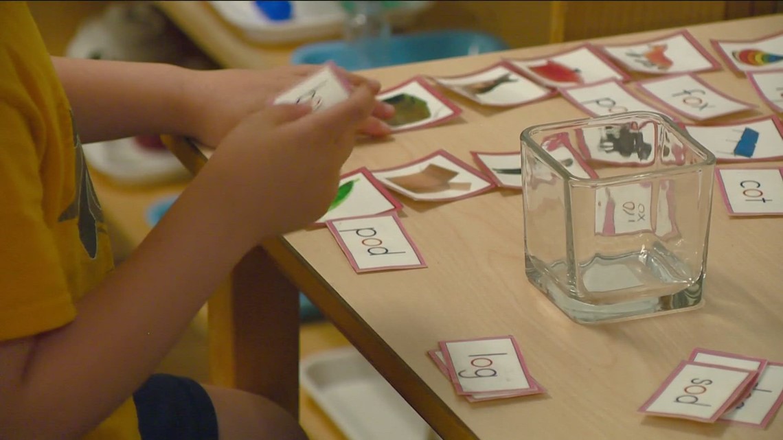 Idaho's childcare industry prepares for a 'fiscal cliff' - Vimarsana News