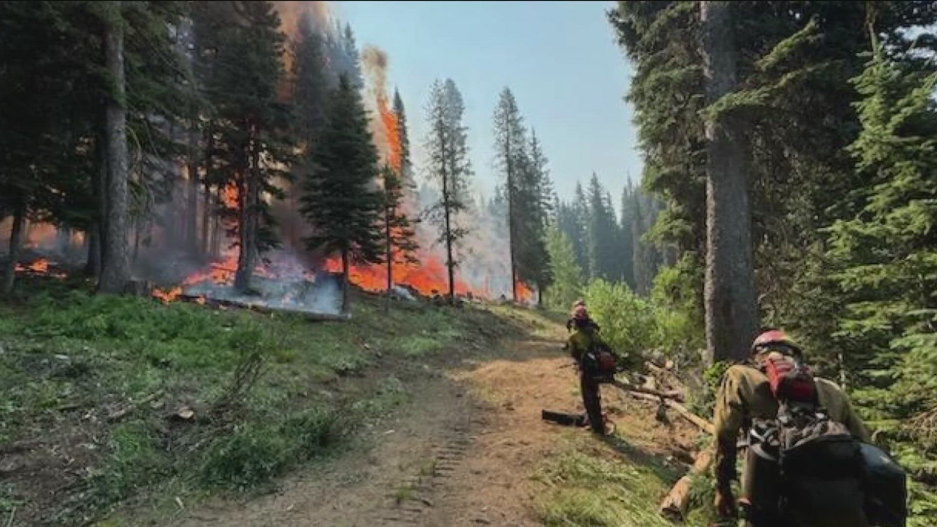 The Lava Fire is located southwest of Cascade, Idaho. The wildfire has burned more than 93,000 acres and is 6% contained as of Wednesday evening.