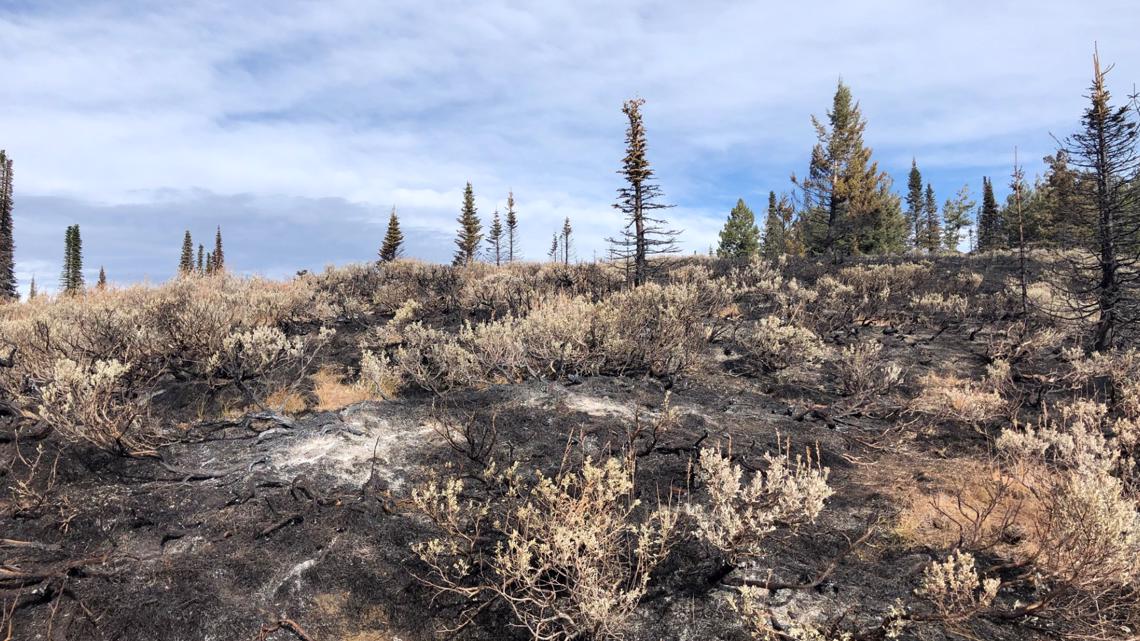 West State Fire near Tamarack now 100% contained | ktvb.com