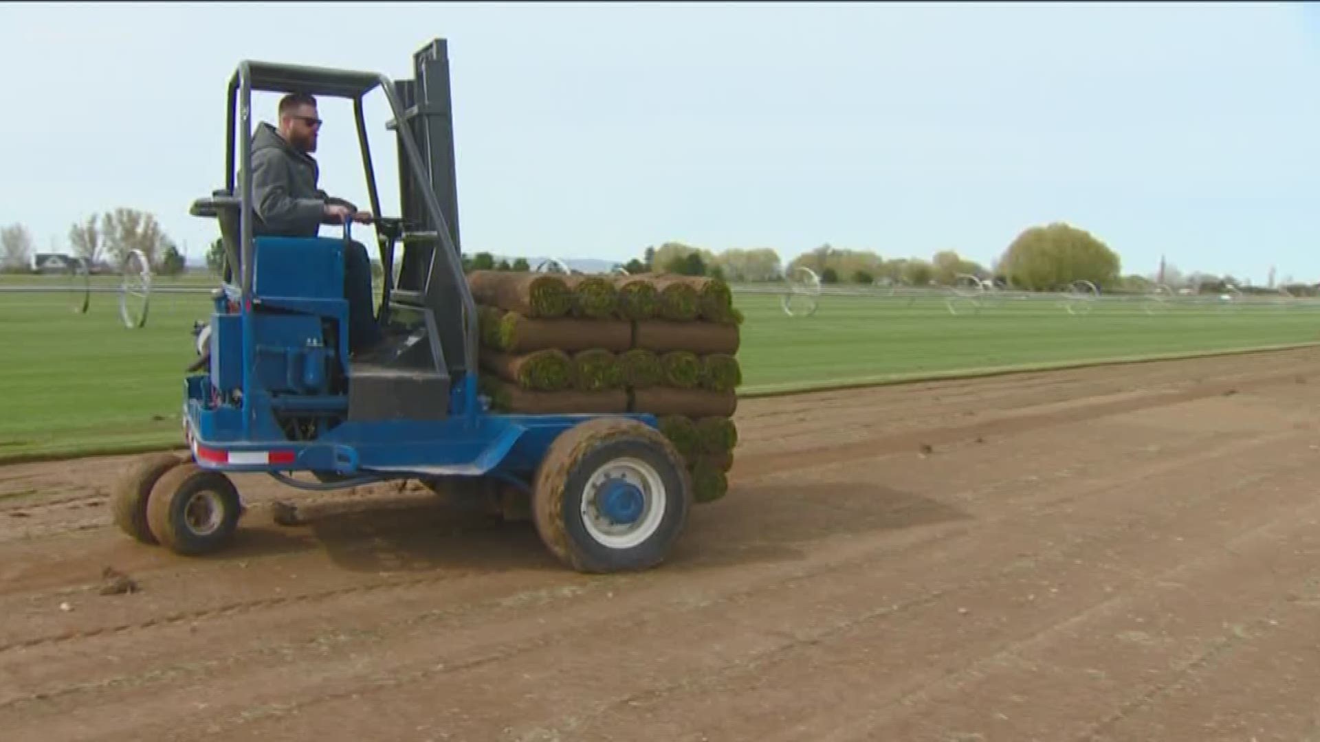 Garden master Jim Duthie heads to a local sod farm to see how they grow grass.