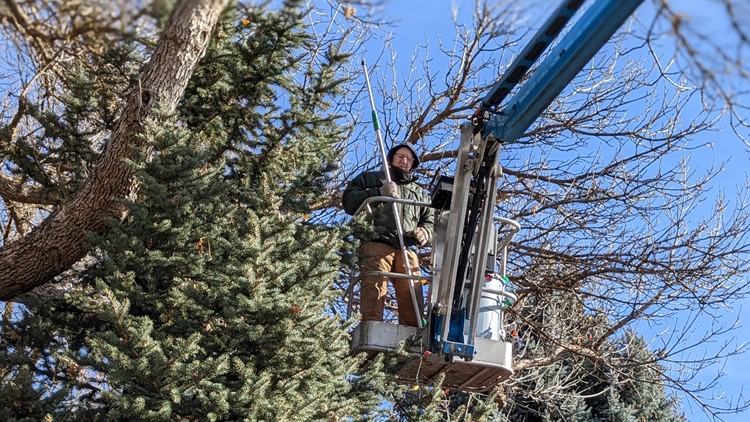 Holiday Hero: Boise man rents a lift every year to decorate his 45 foot blue spruce tree for his neighborhood for Christmas