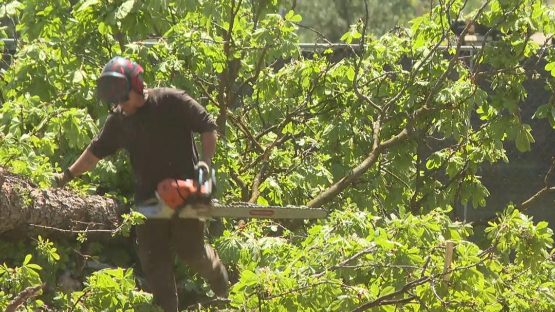 Boise VA Medical Center's expansion will cut down historic trees on Fort Boise property