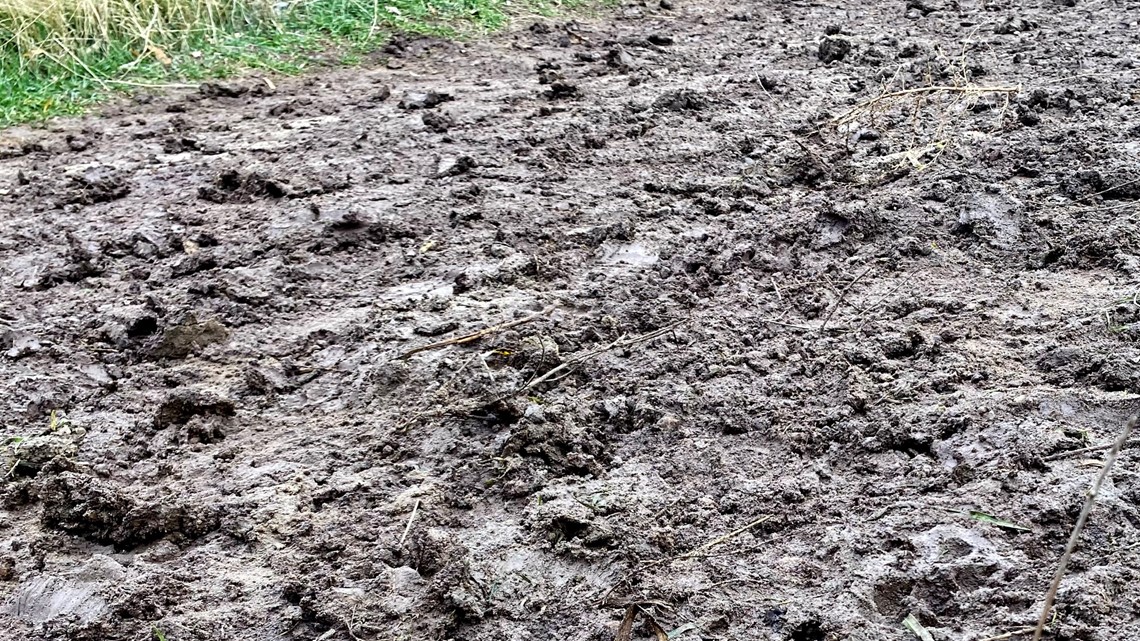 April weather conditions create muddy trails in Boise Foothills - Vimarsana News