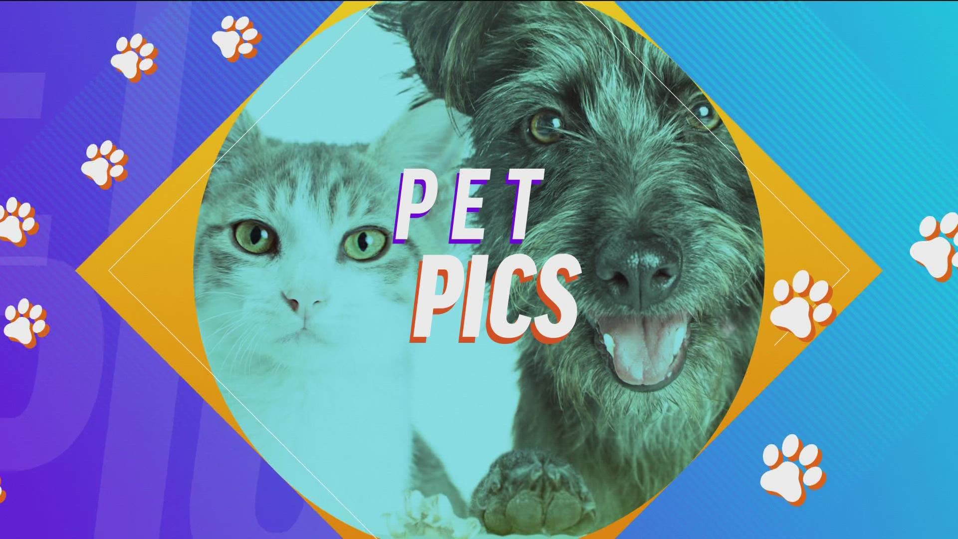 Check out this week's pet pics!