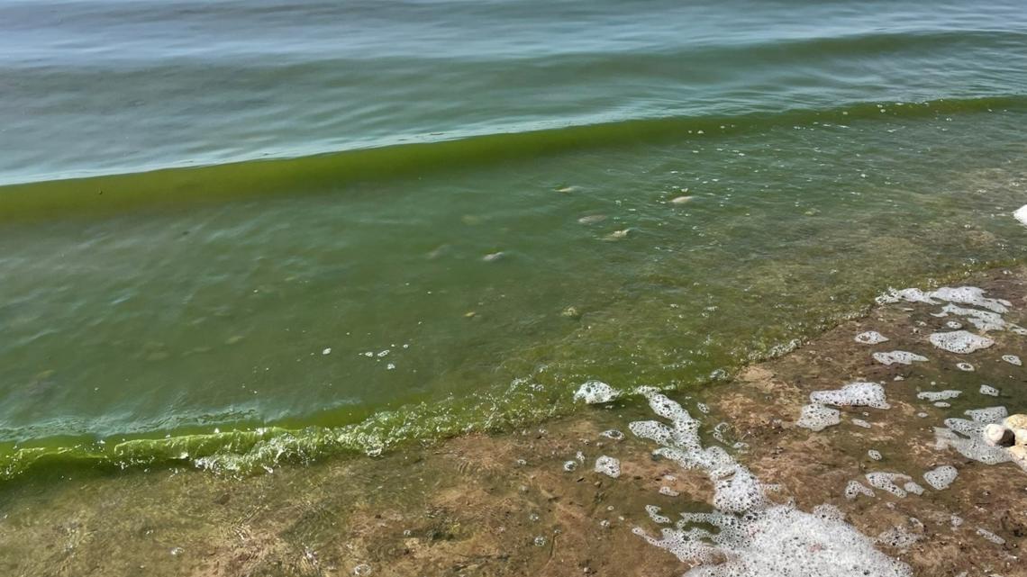 Idaho issues health advisory for Lake Lowell