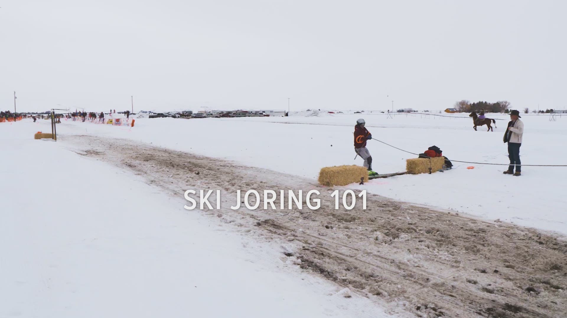 Equal parts raucous entertainment and serious athletic endeavor, skijoring —  where a rider on horseback pulls a skier through an obstacle course —  is perhaps winter's wildest sport.
