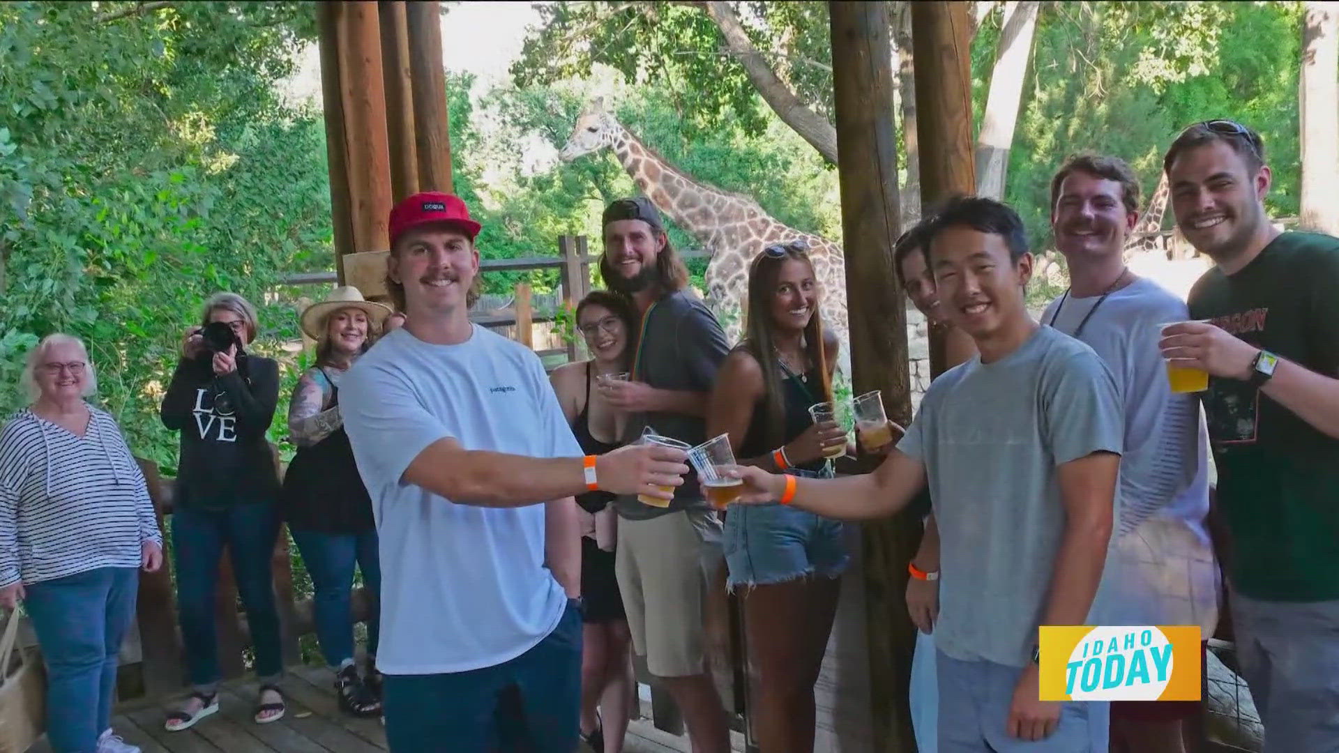 The zoo animals are ready to mingle with the adults