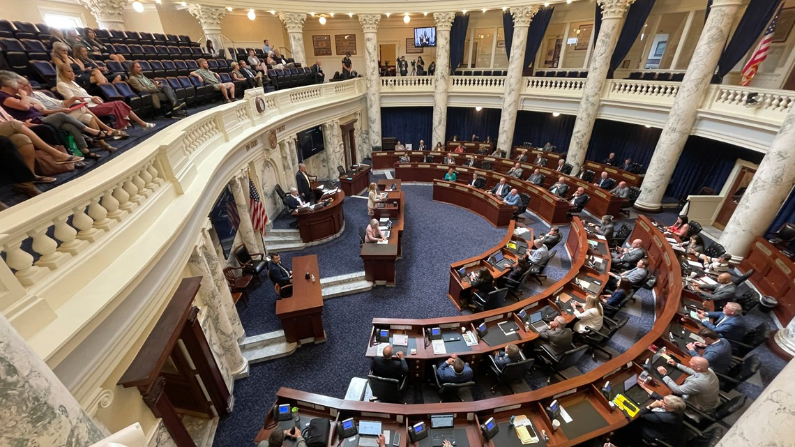 TheIdaho House passes abortion law clarifications - Vimarsana News