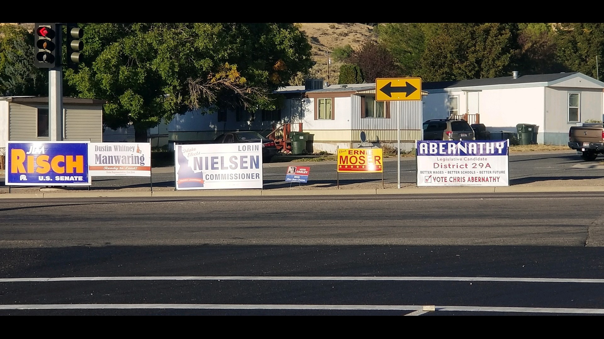 Pocatello dog makes convincing case for public office in yard sign