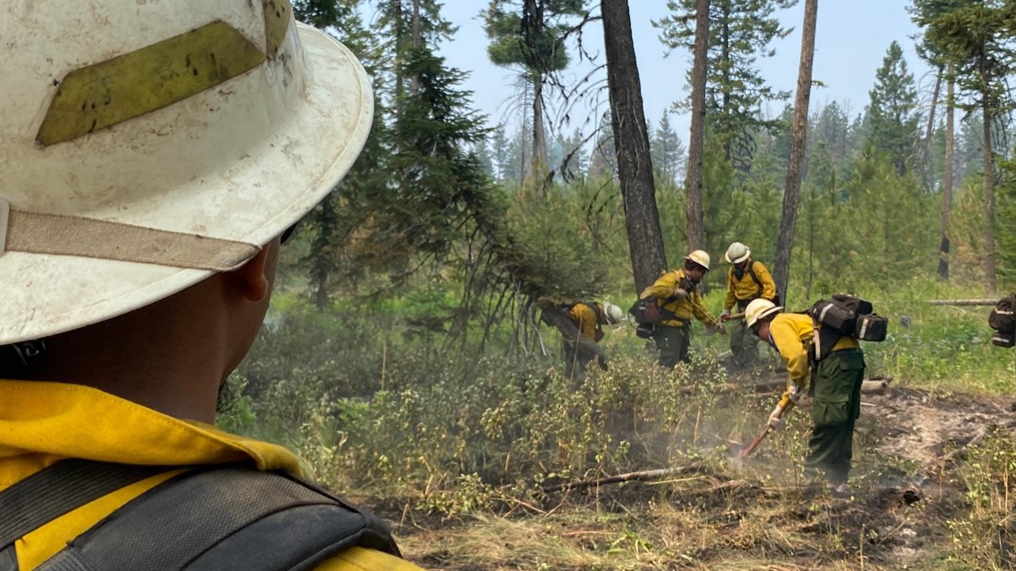 Idaho Dept. of Lands seeks fire bosses for Craig Mountain Dist. - Vimarsana News