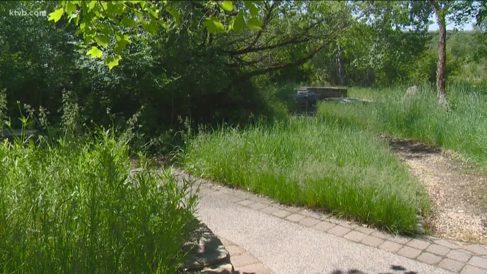 The man said his encounter with the bear only last about 15 seconds.