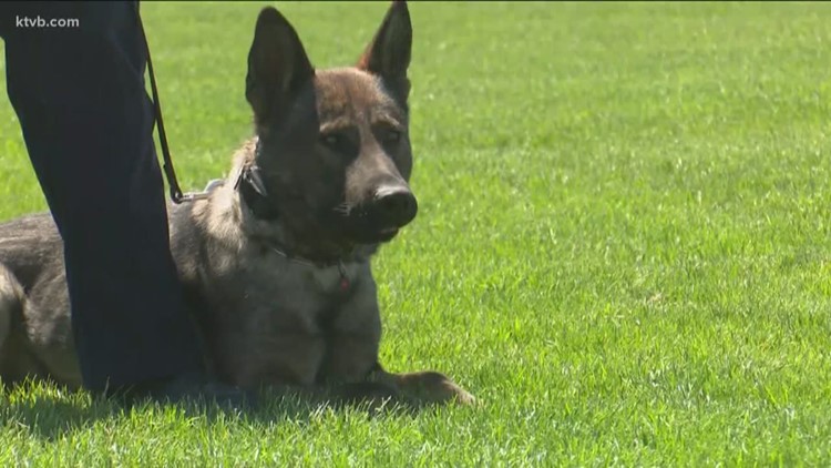 Is a drug dog putting its paws on your car 'trespassing'? Here's what the Idaho Supreme Court said