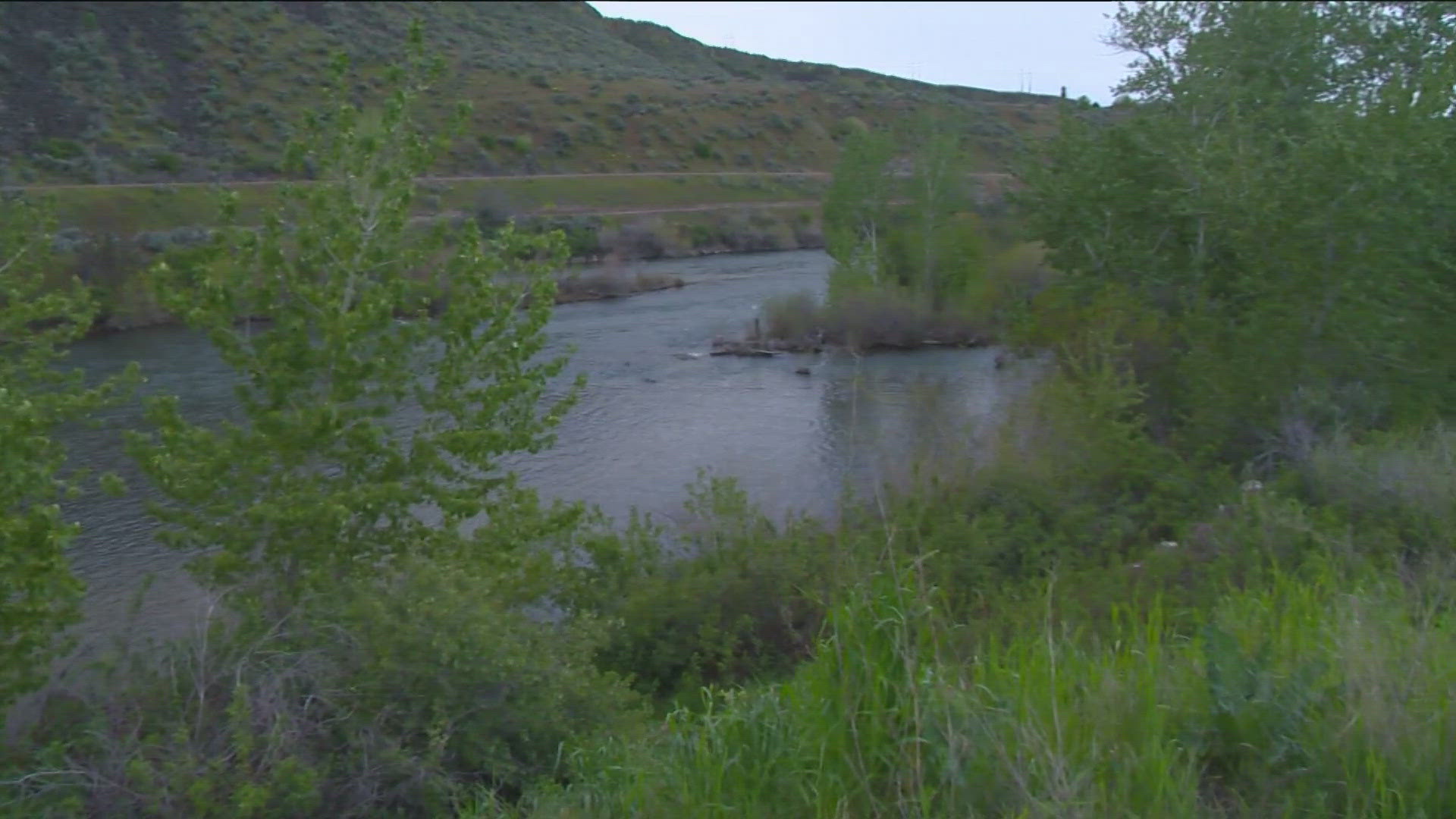 Boise Fire said the woman was able to swim ashore after floating downstream about 100 yards.