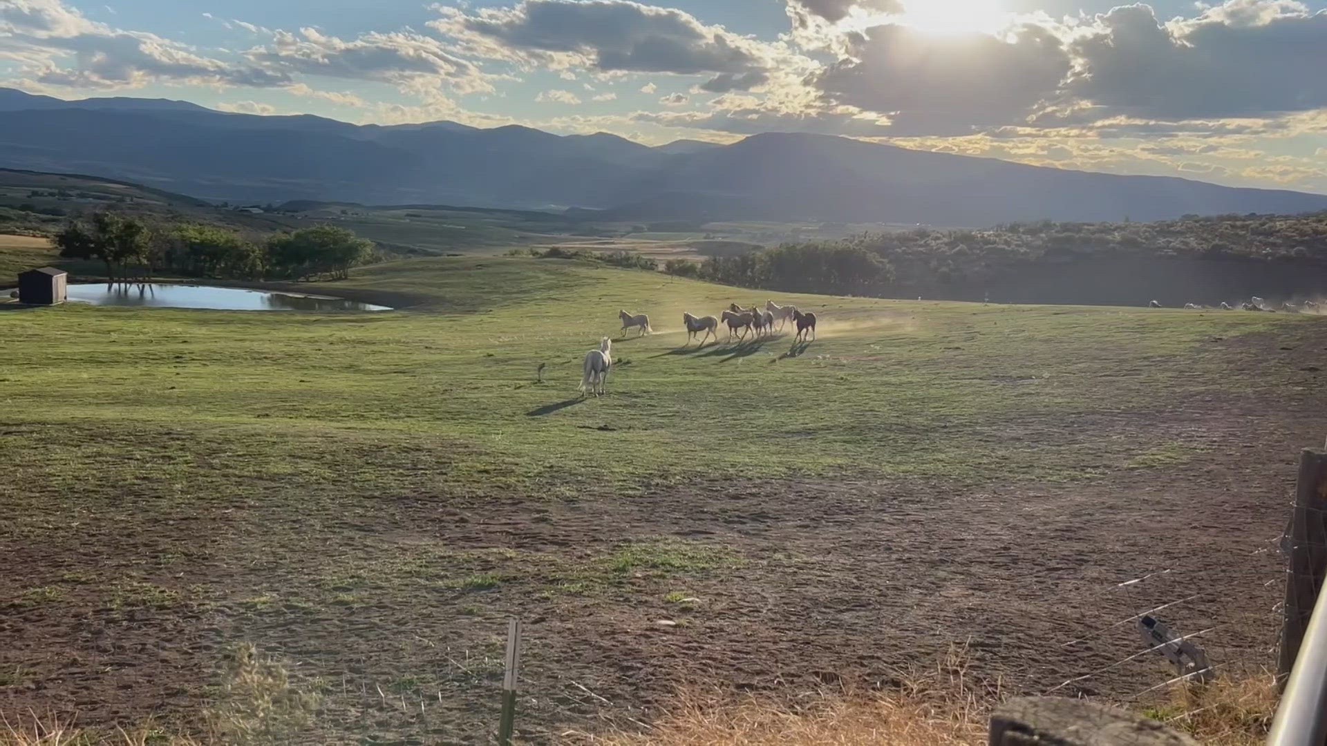 Sailor Moon is officially reunited with part of her herd, including her mom, at a ranch in Aspen, Colorado.