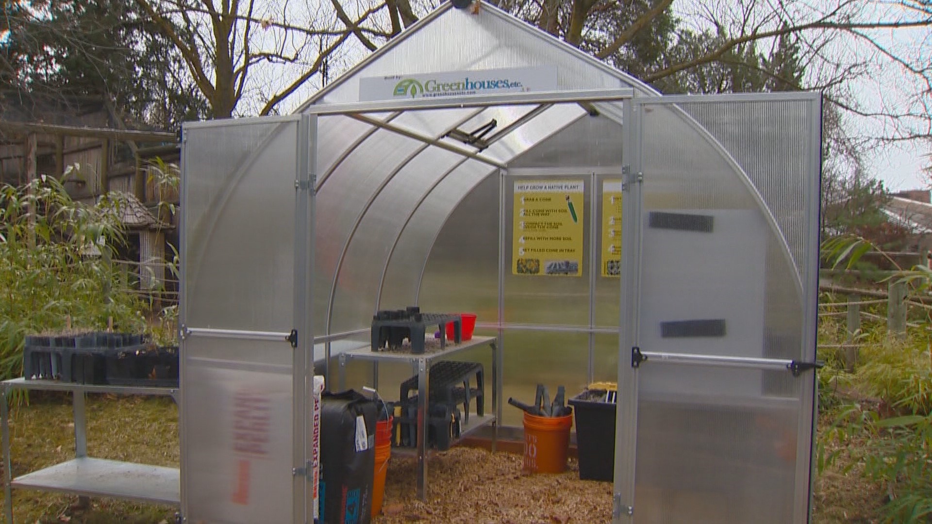 Garden master Jim Duthie shows us some options to consider for a backyard greenhouse.