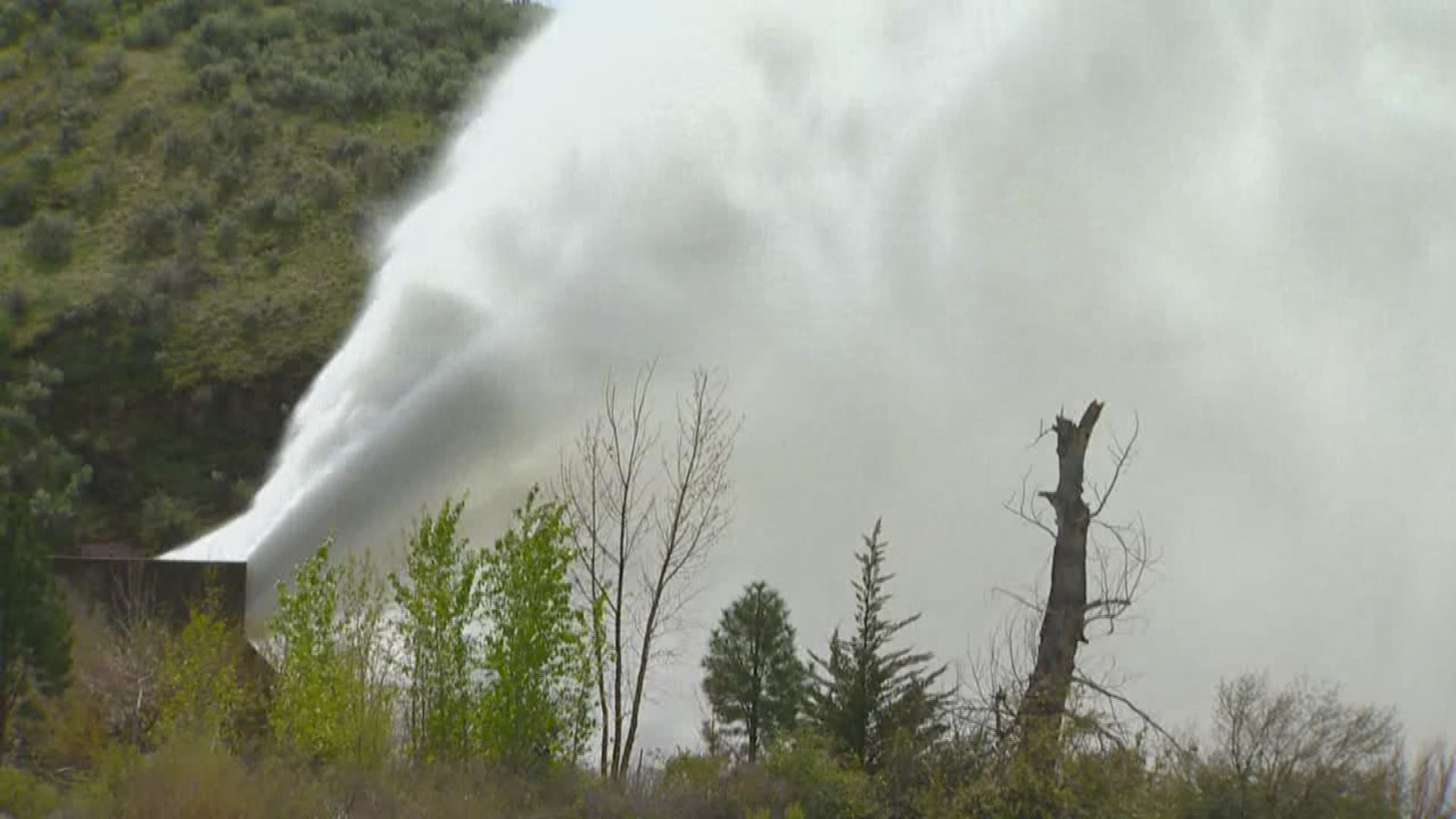 The Rooster Tail