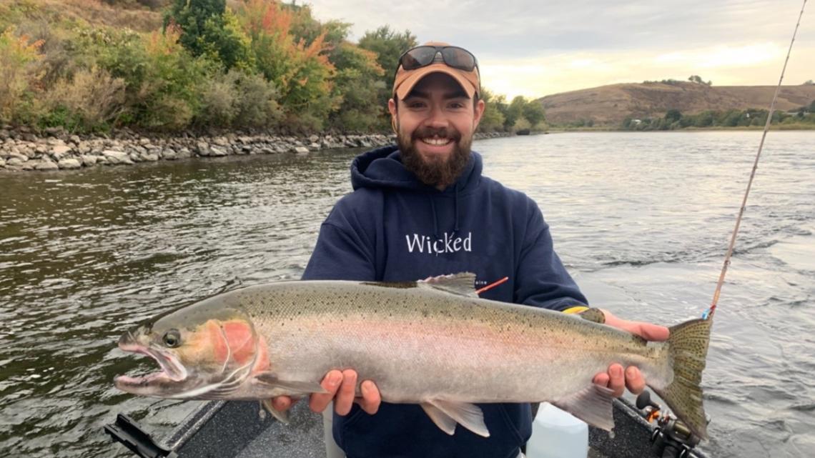 Wild steelhead are caught less and survive at higher rates