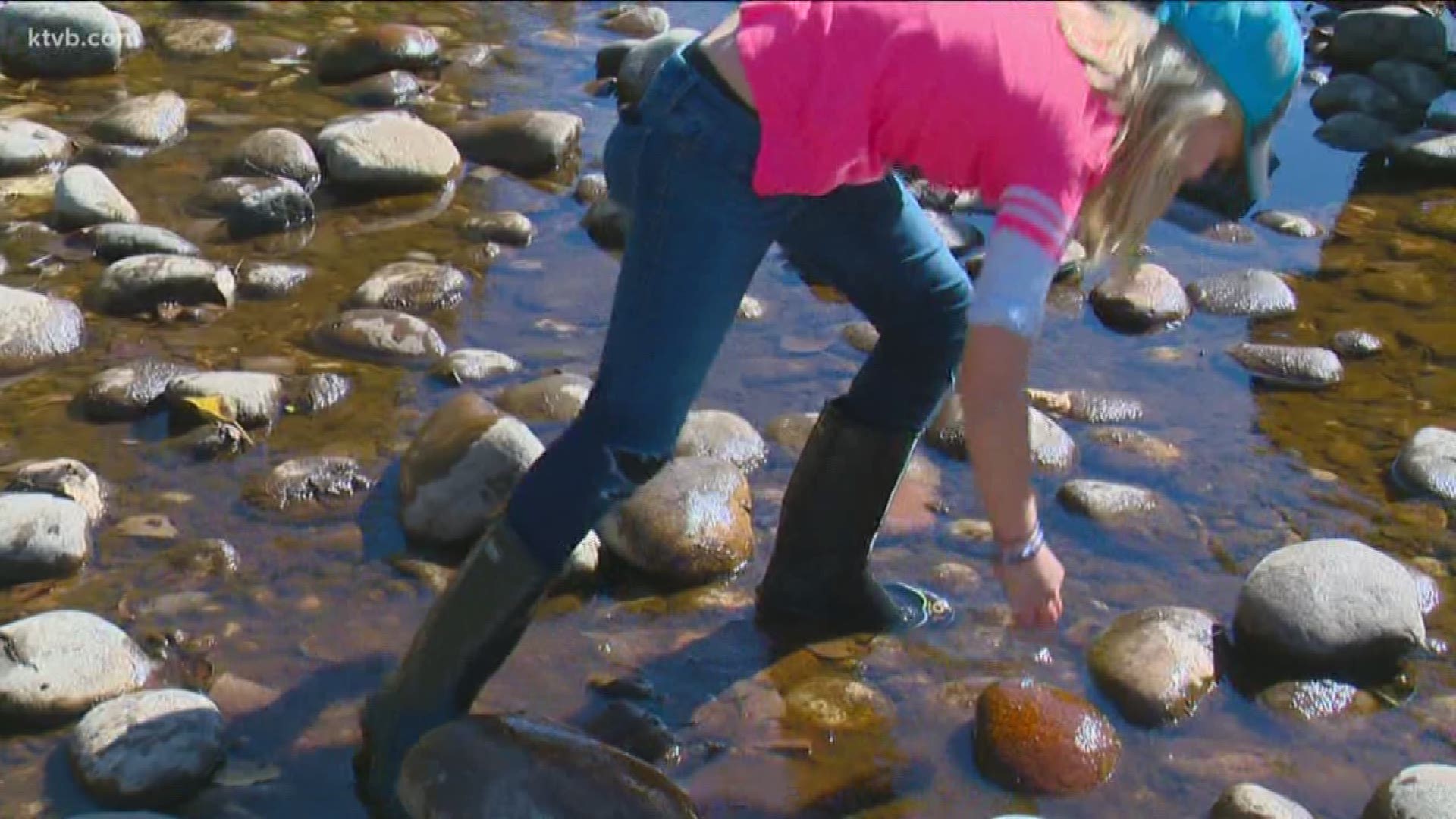 Innovative Educator: Students study the science of the Boise River