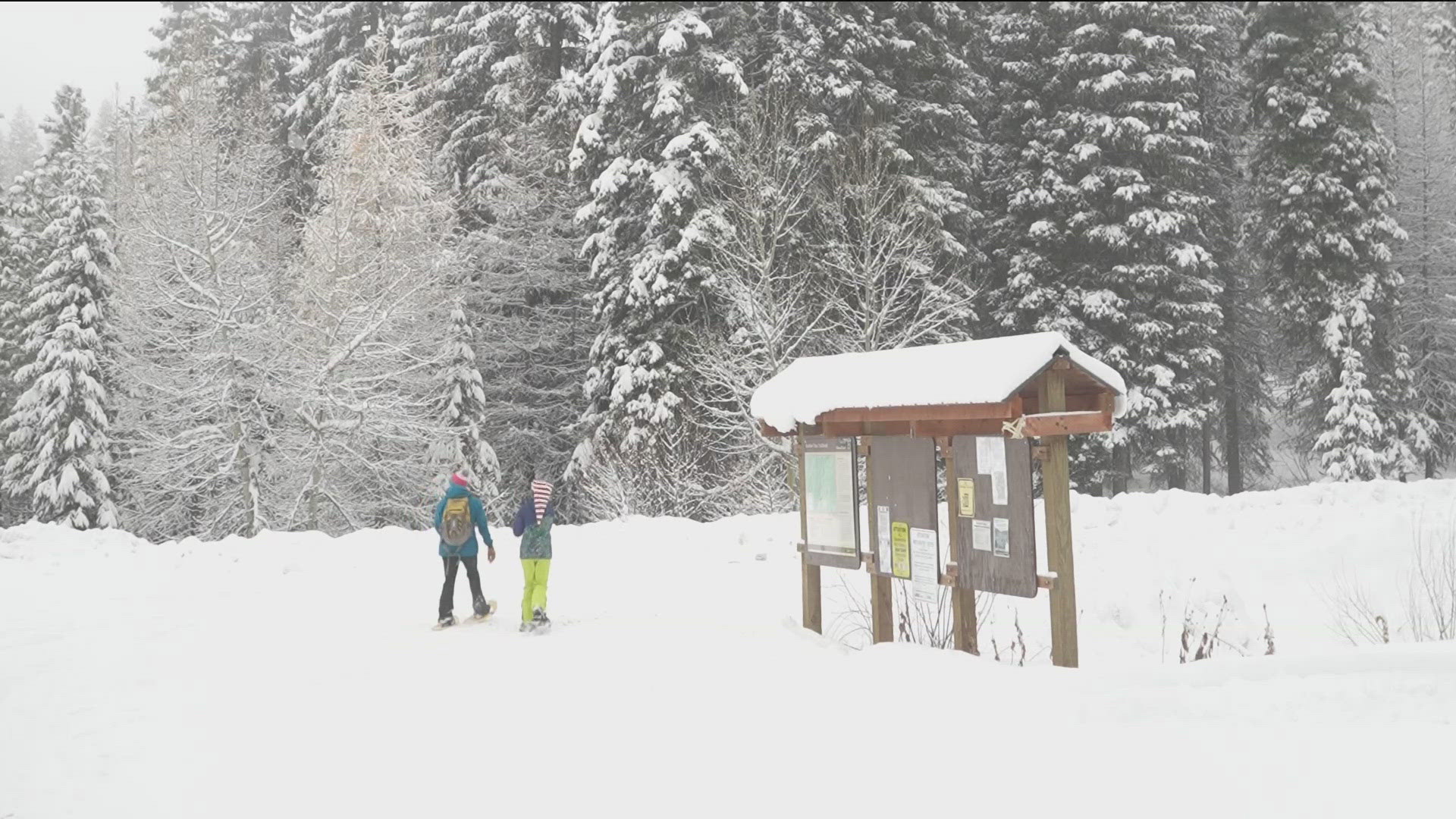 Free Christmas tree tags are now offered by the Salmon-Challis National Forest. Those tags are needed to cut down up to two trees, which must be under 12 feet tall.