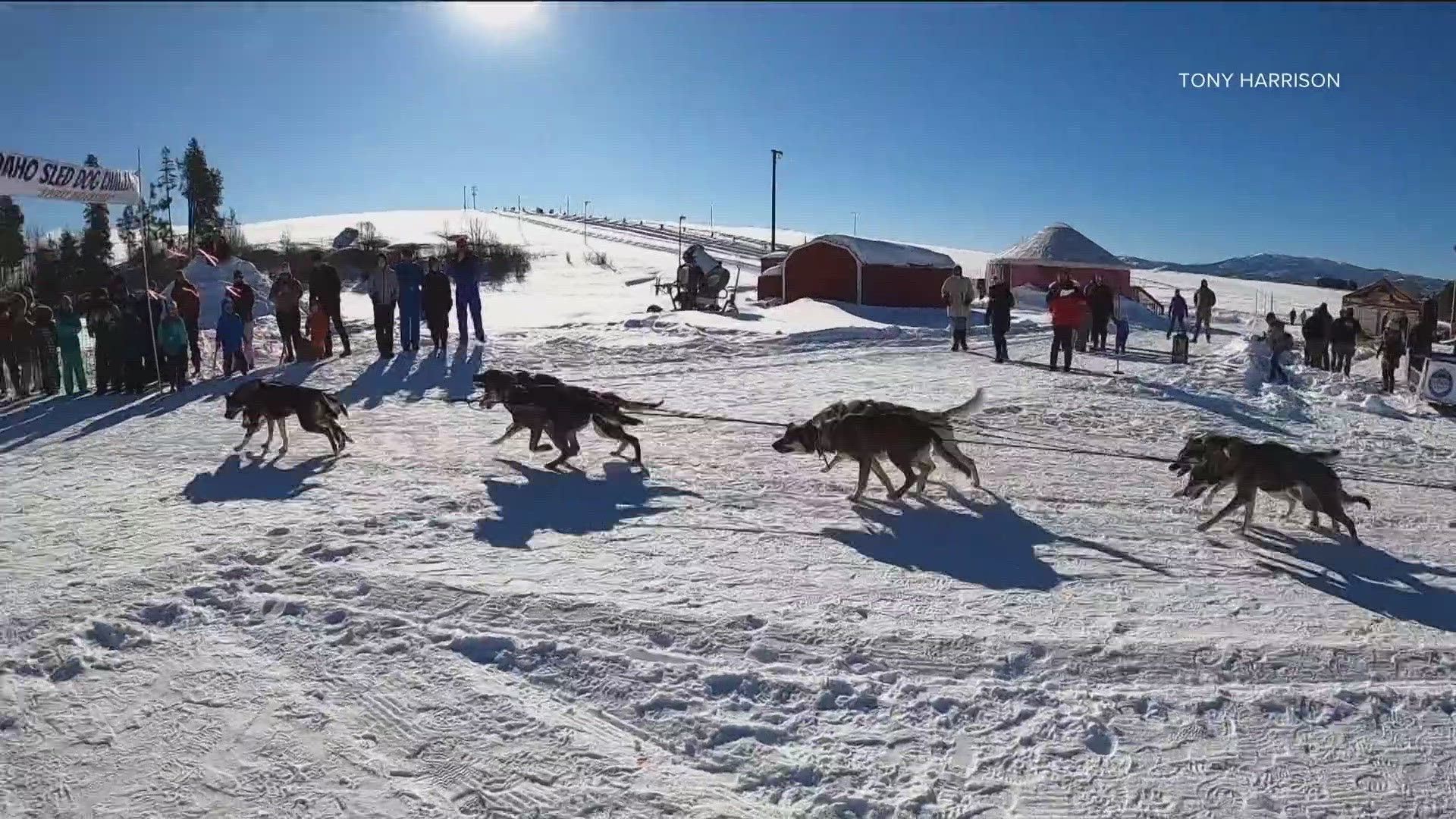 Despite sled dog race cancelations across the Pacific Northwest, the Idaho Sled Dog Challenge is still scheduled to convene in late January.