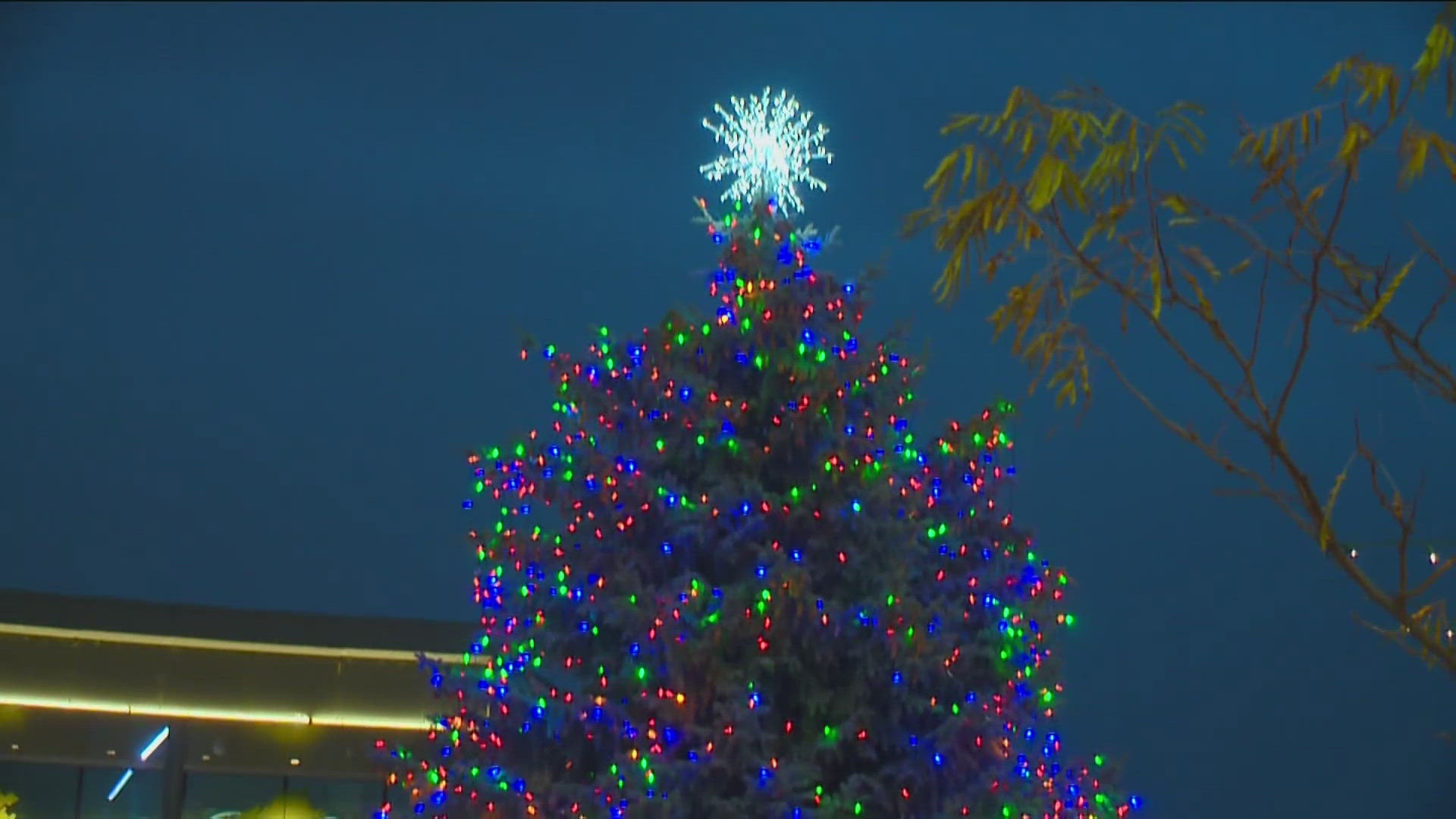 The tree will be transported from a southeast Boise neighborhood to the Grove Plaza on Monday morning, around 8 a.m.