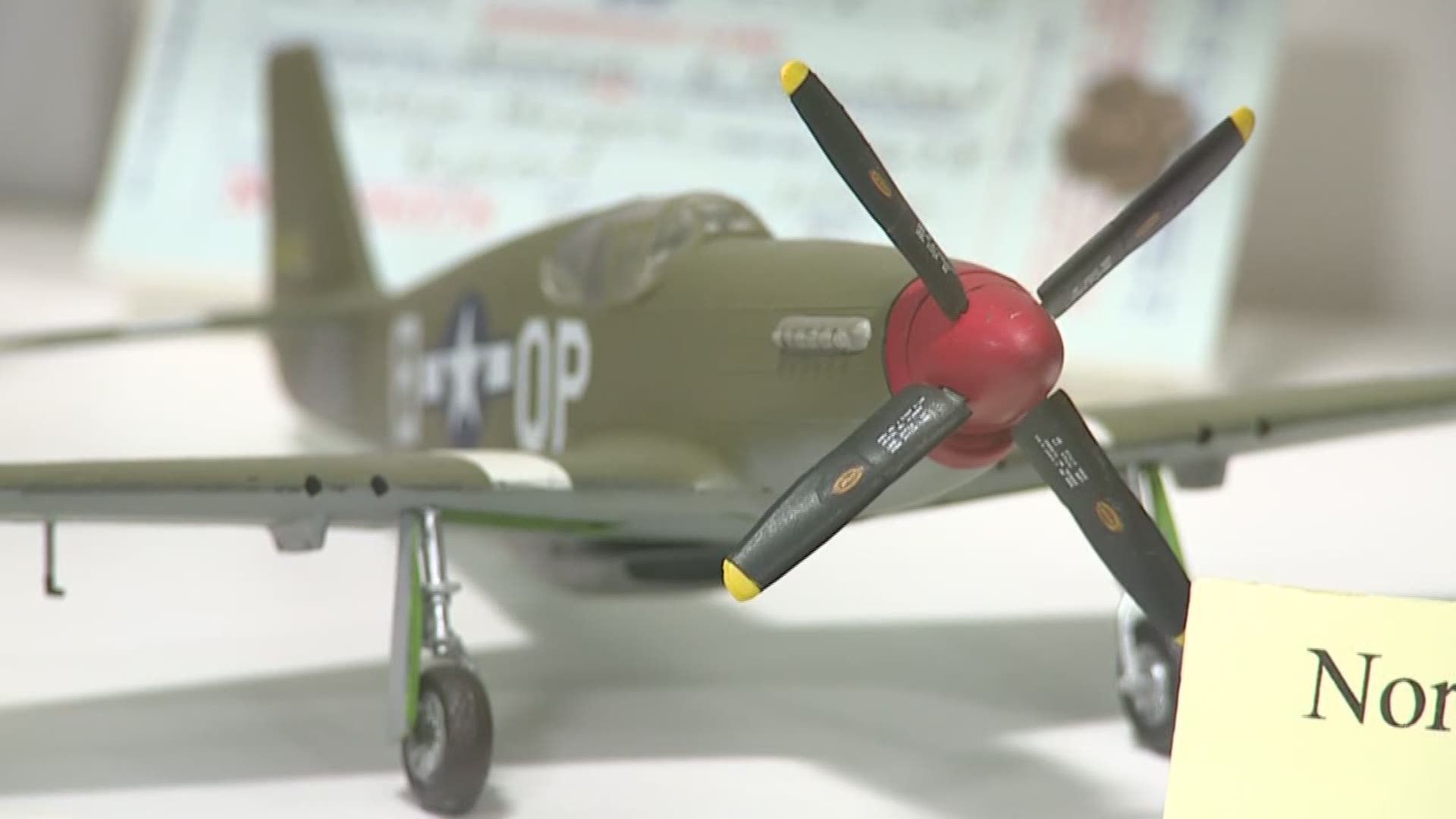 73 years ago today, a pivotal point in World War II - D-Day. Today, the stories of the men who put their lives on the line that day are kept alive at the Warhawk Air Museum.