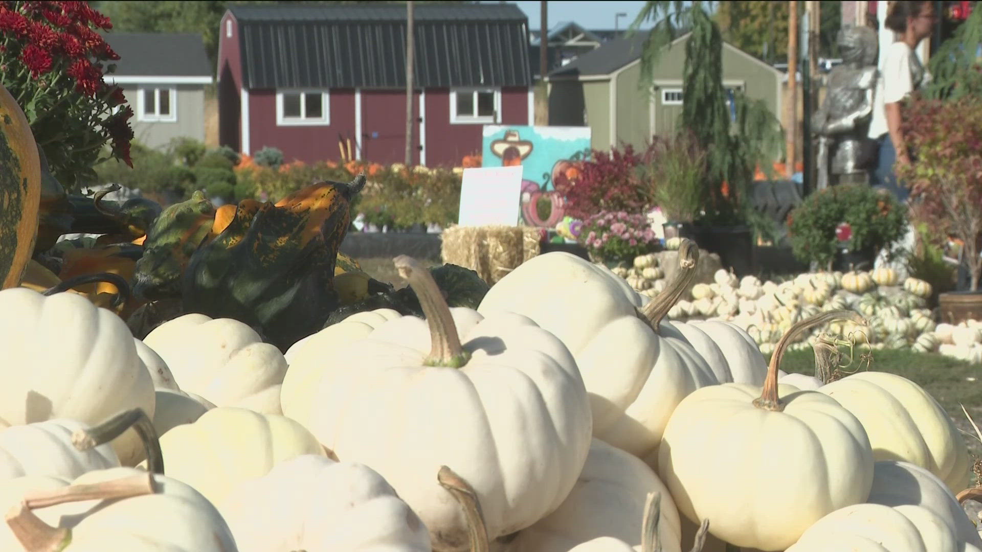 In this week’s Exploring Idaho, we take you to different pumpkin patches and corn mazes across the Treasure Valley, to show you the must-visit spots for fall.